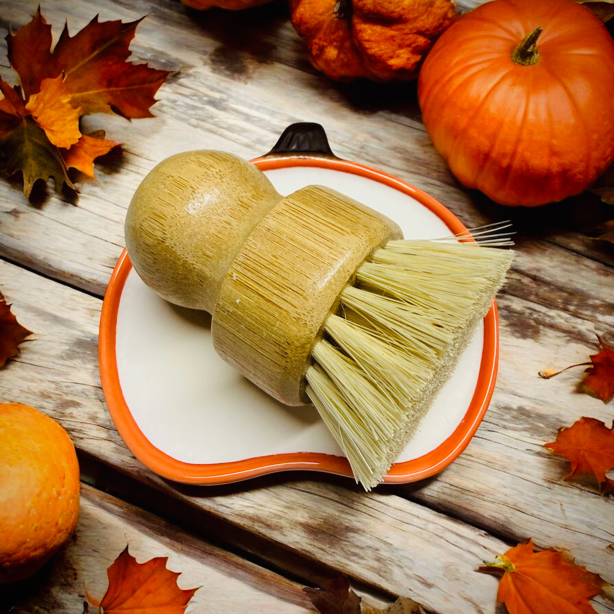 Solid Dish Soap Pumpkin